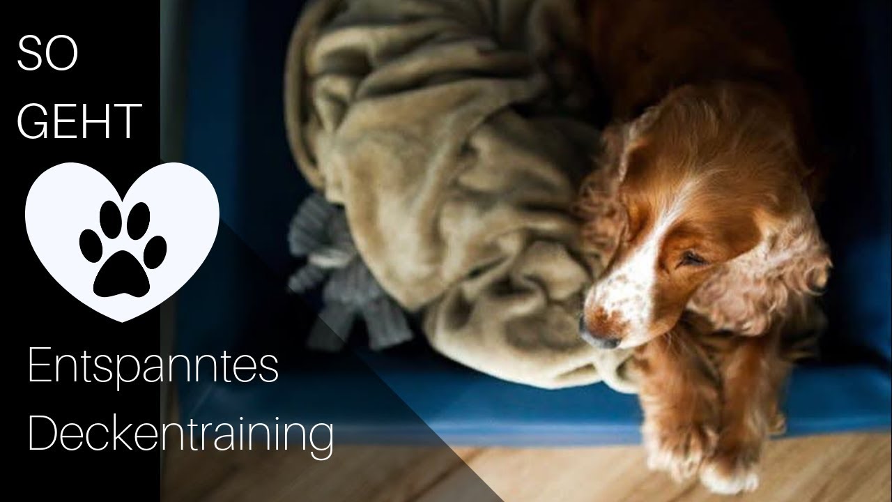 Entspanntes Deckentraining - so läufts!