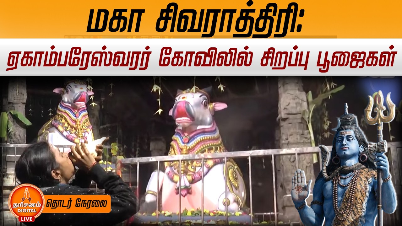🔴LIVE: மகா சிவராத்திரி: ஏகாம்பரேஸ்வரர் கோவிலில் சிறப்பு பூஜைகள்