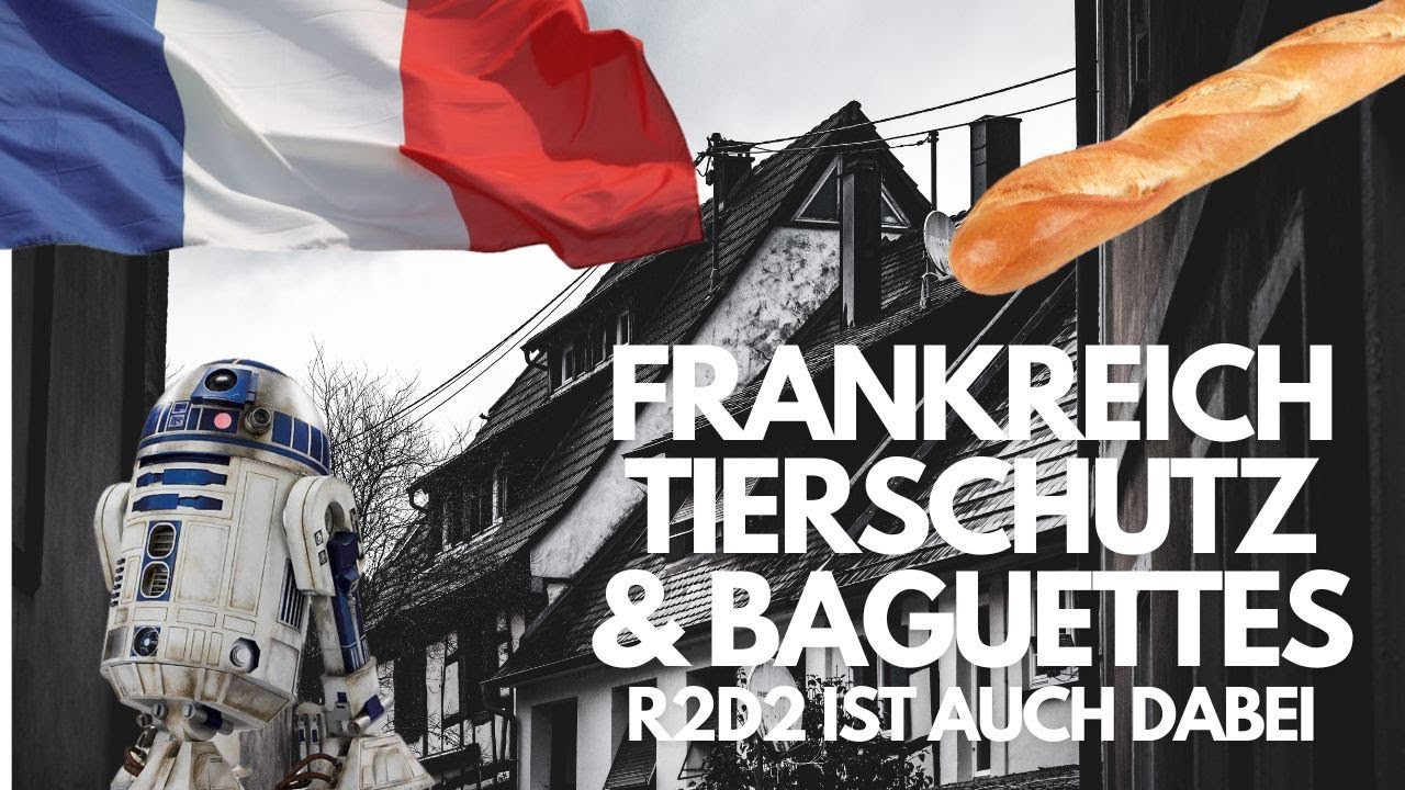 Frankreich - Baguettes und Tierschutz - R2D2 ist auch dabei