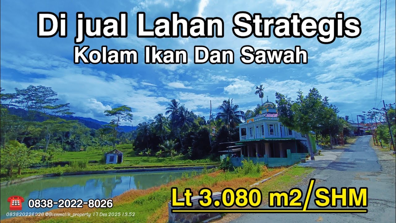 🏞️ DIJUAL LAHAN STRATEGIS KOLAM IKAN & SAWAH – VIEW GUNUNG BURANGRANG, KIARAPEDES PURWAKARTA
