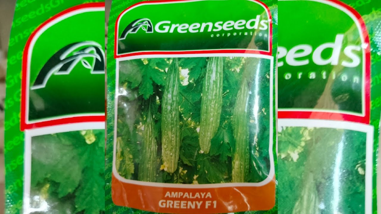 GREENSEEDS AMPALAYA 