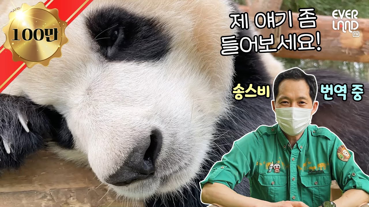[ENG] (소듕) 바오가족과 송바오의 대화 모음.zip│#판다와쏭 #112