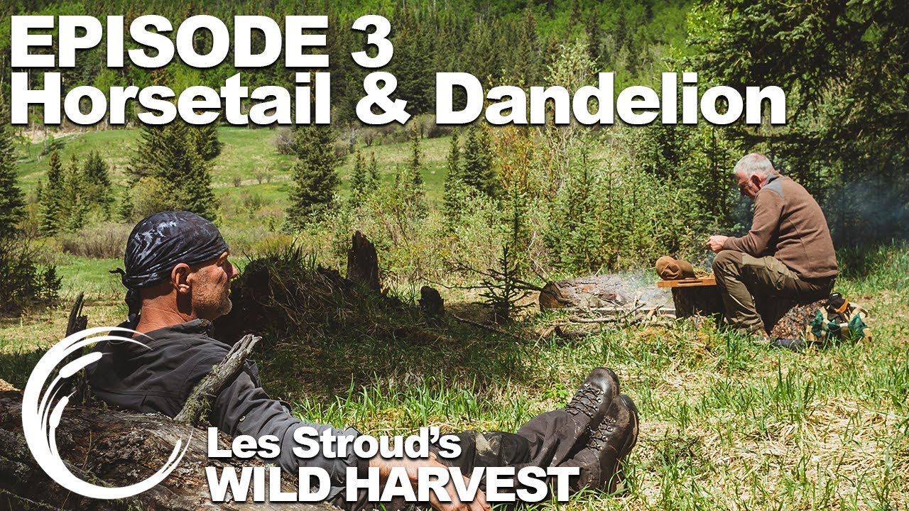 Survivorman | Les Stroud's Wild Harvest | Season 1 | Episode 3 | Horsetail & Dandelion