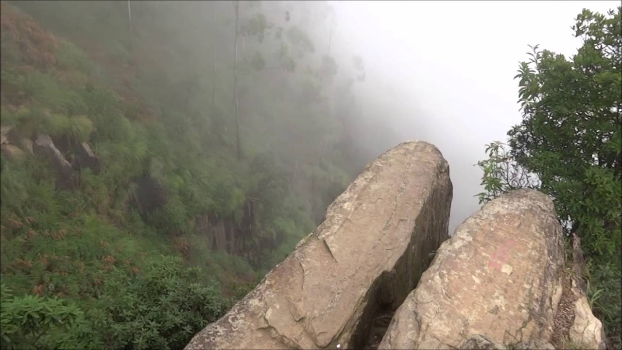 Dolphin's Nose Views