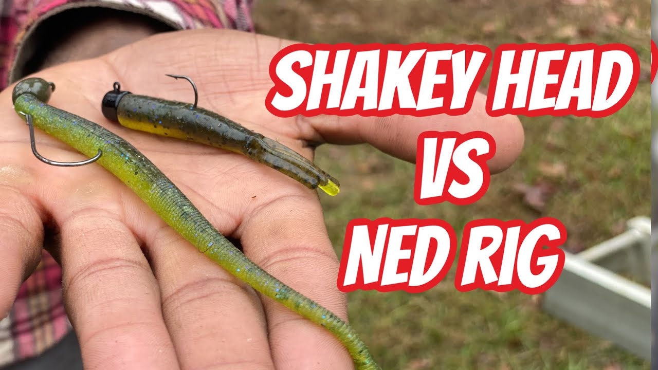 Difference Between Shakey Heads and Ned Rigs