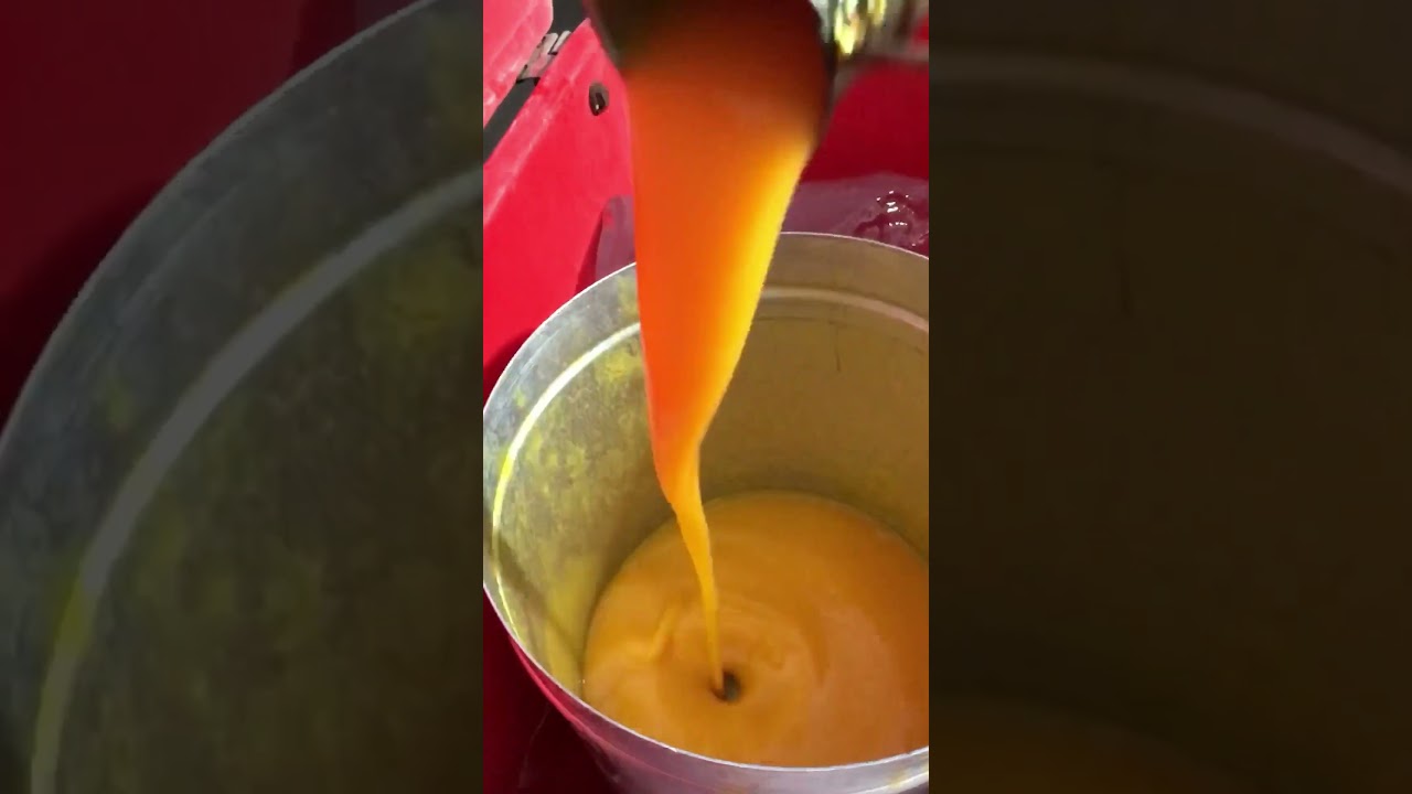 Shorts Video Mangoe Juice #shorts #juice #youtubeshorts