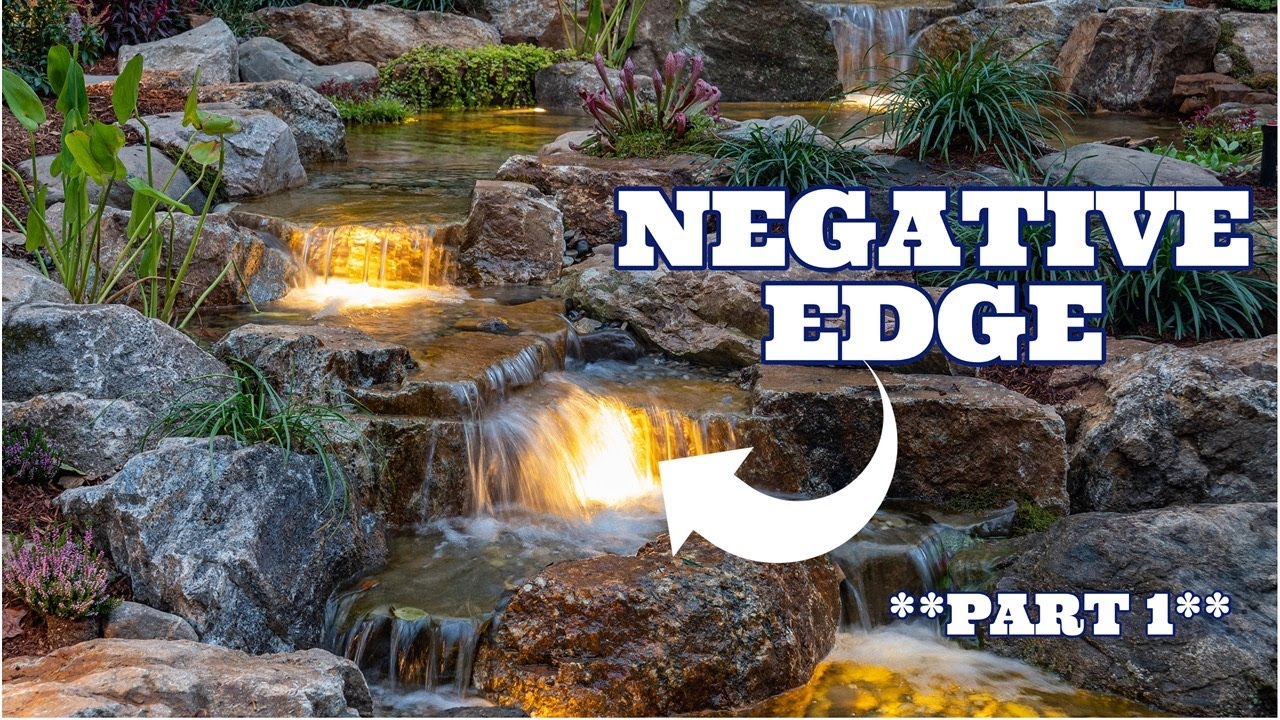 NEGATIVE EDGE Koi Pond *part 1*