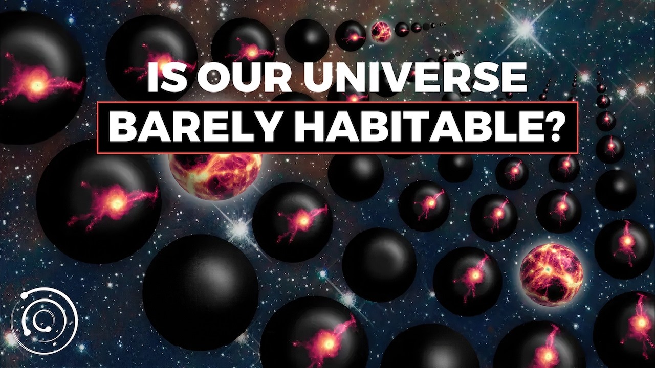 Why We Might Live in a 