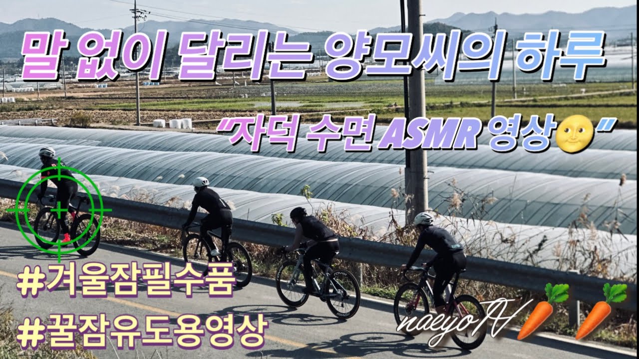 꿈나라에서 온 양모씨의 사연입니다/2시간 램수면 라이딩영상 x 홈바이크 최도현선수 로드자전거 ASMR 