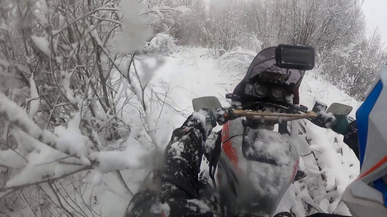 Africa Twin in snow forest.