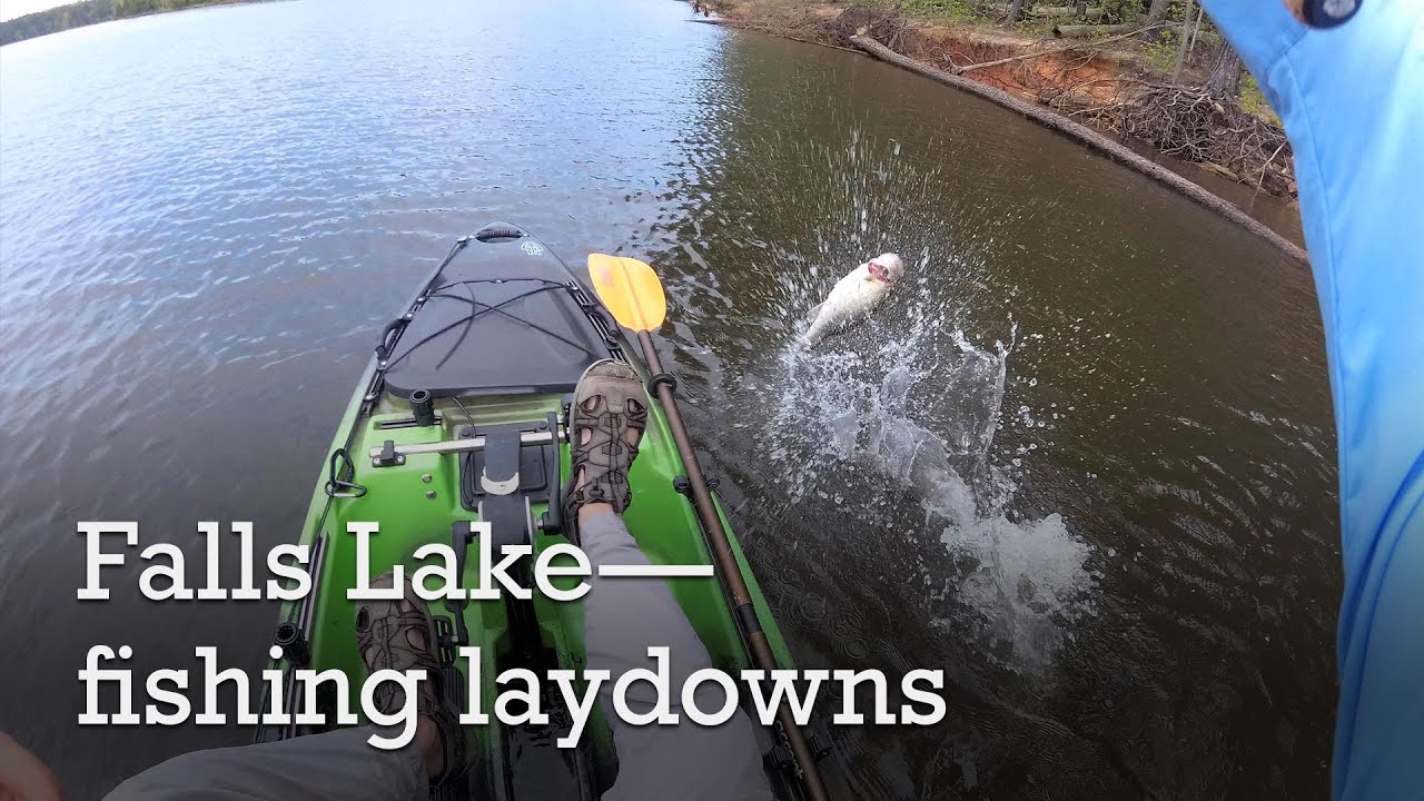 Falls Lake—fishing laydowns