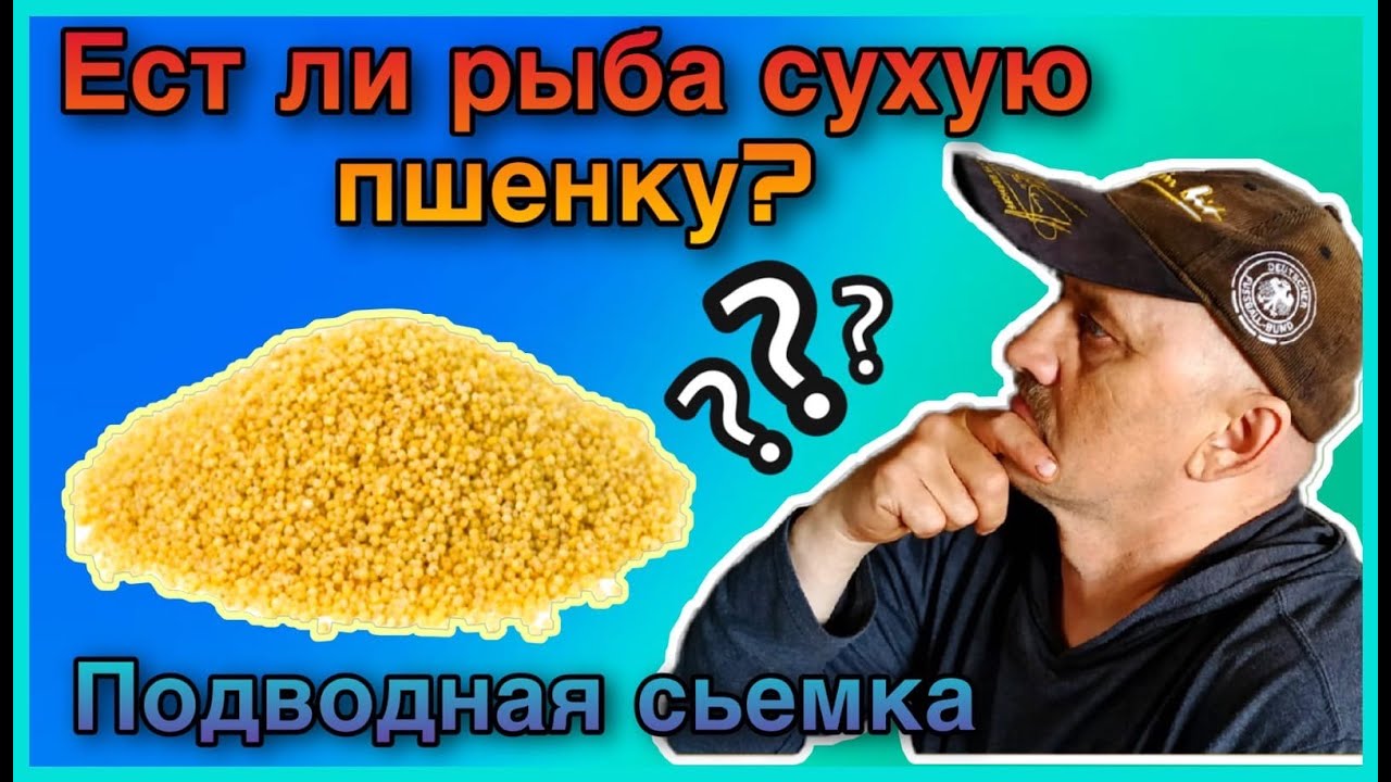 Ест ли рыба сырое пшено? Подводная съемка.