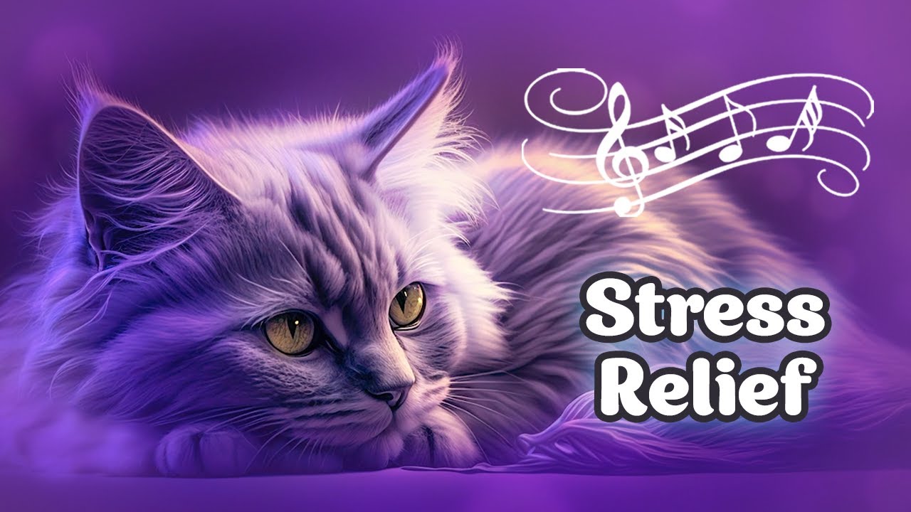 ♬ Cat Meditation Music 432 hz 😸 Healing Music for the Body and Soul, Deep Sleep
