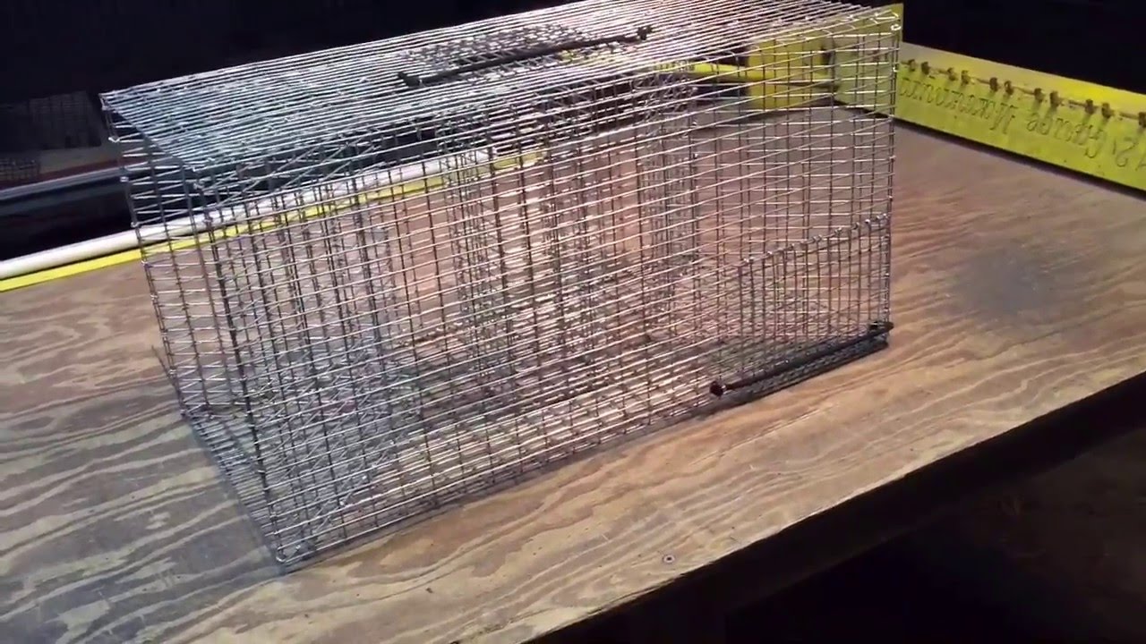Crawfish Trap - Baitfish Trap Combo