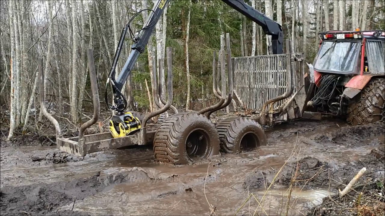 Work in forest compilation..9 (HD)