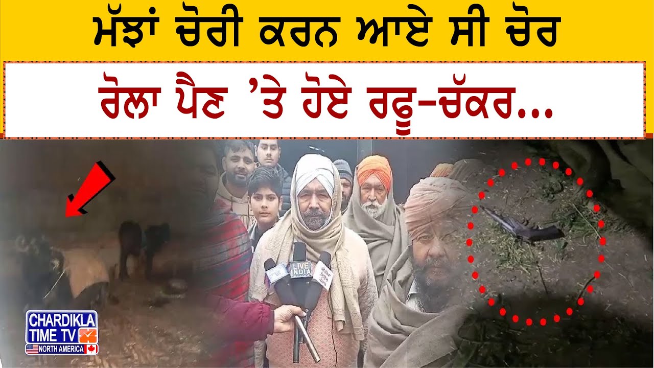 ਮੱਝਾਂ ਚੋਰੀ ਕਰਨ ਆਏ ਸੀ ਚੋਰ, ਰੋਲਾ ਪੈਣ ’ਤੇ ਹੋਏ ਰਫੂ-ਚੱਕਰ... | Ghanaur News