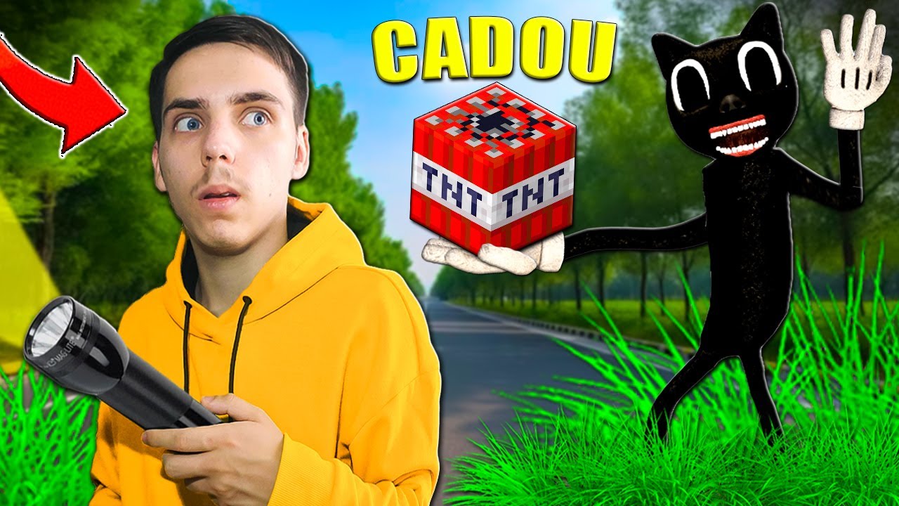 Am gasit SECRETUL lui CARTOON CAT !