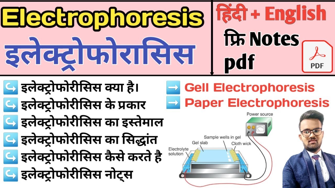 Electrophoresis in hindi | Gel Electrophoresis | Pepar Electrophoresis | Agarose Gel Electrophoresis
