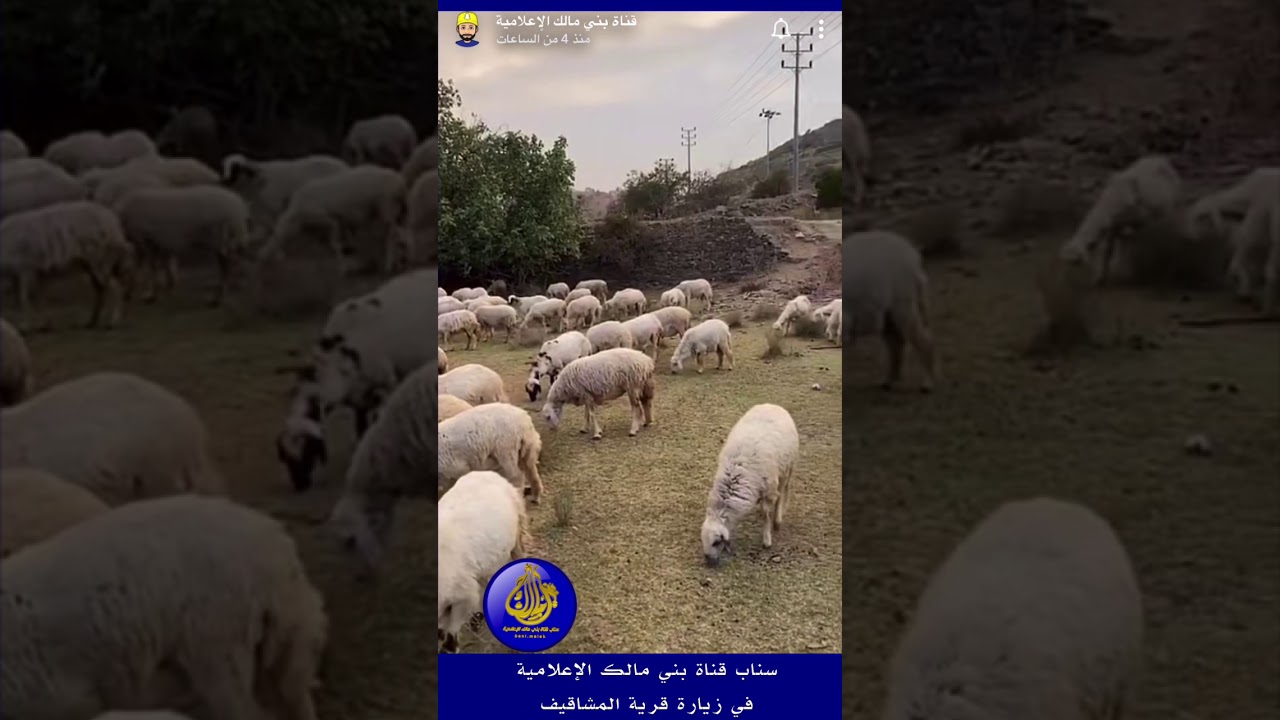 سناب قناة بني مالك الإعلامية في زيارته لقرية المشاقيف بني مالك