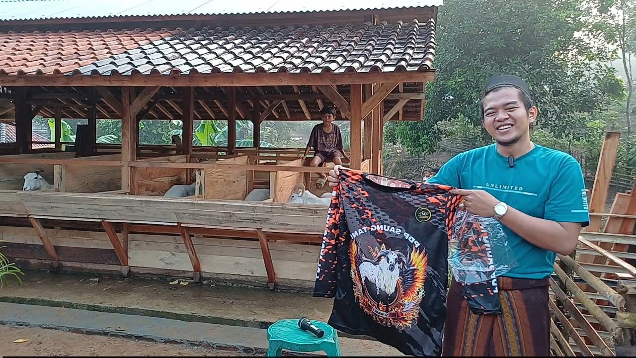 PAKET BREEDING DOMBA GARUT KE LEUWIDAMAR LEBAK BANTEN