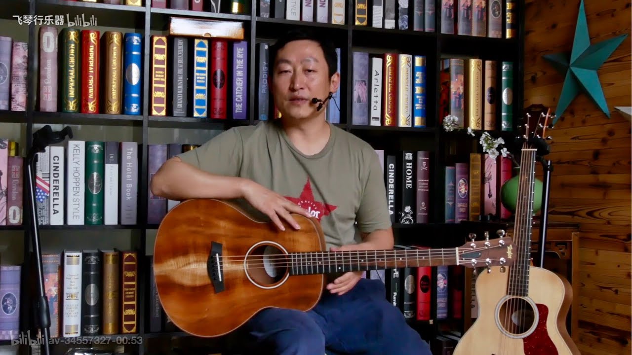 which do you like best? Taylor gs mini guitars review 吉他评测