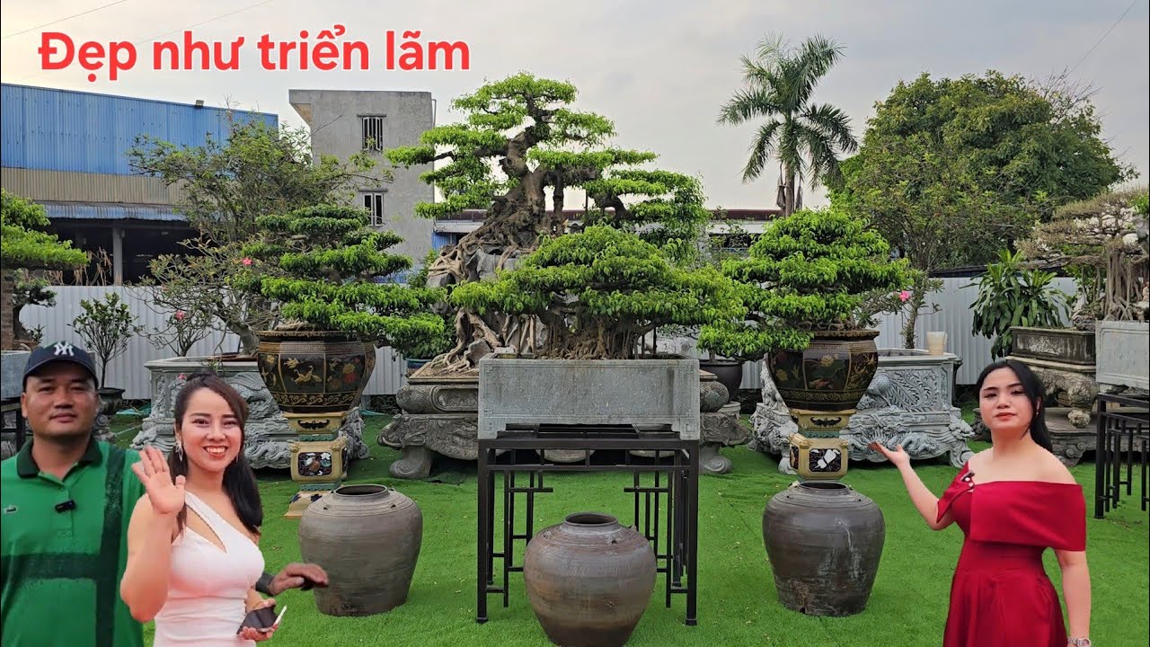 Chiêm ngưỡng vườn cây em Huy đẹp như triển lãm !..