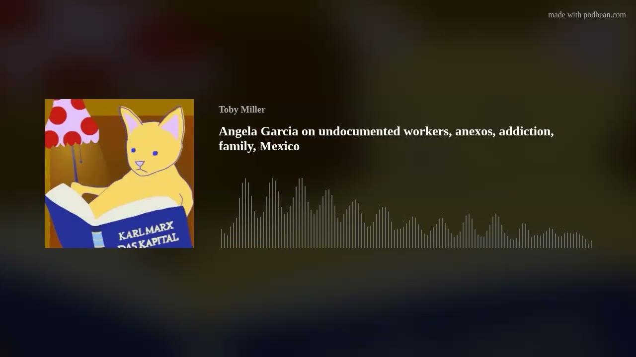 Angela Garcia on undocumented workers, anexos, addiction, family, Mexico