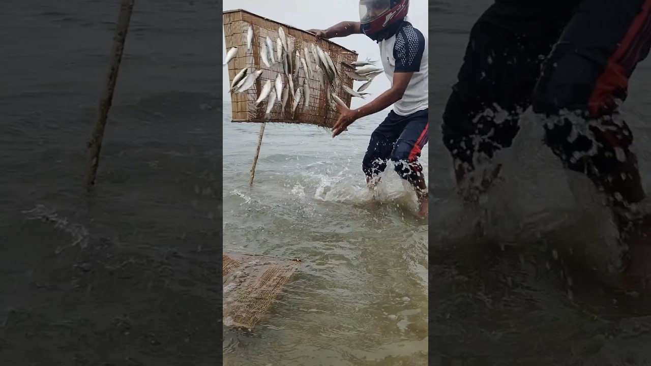 Vietnam Fishing Technique in Jungle #fishing #amazing #fish #viralvideo #shorts