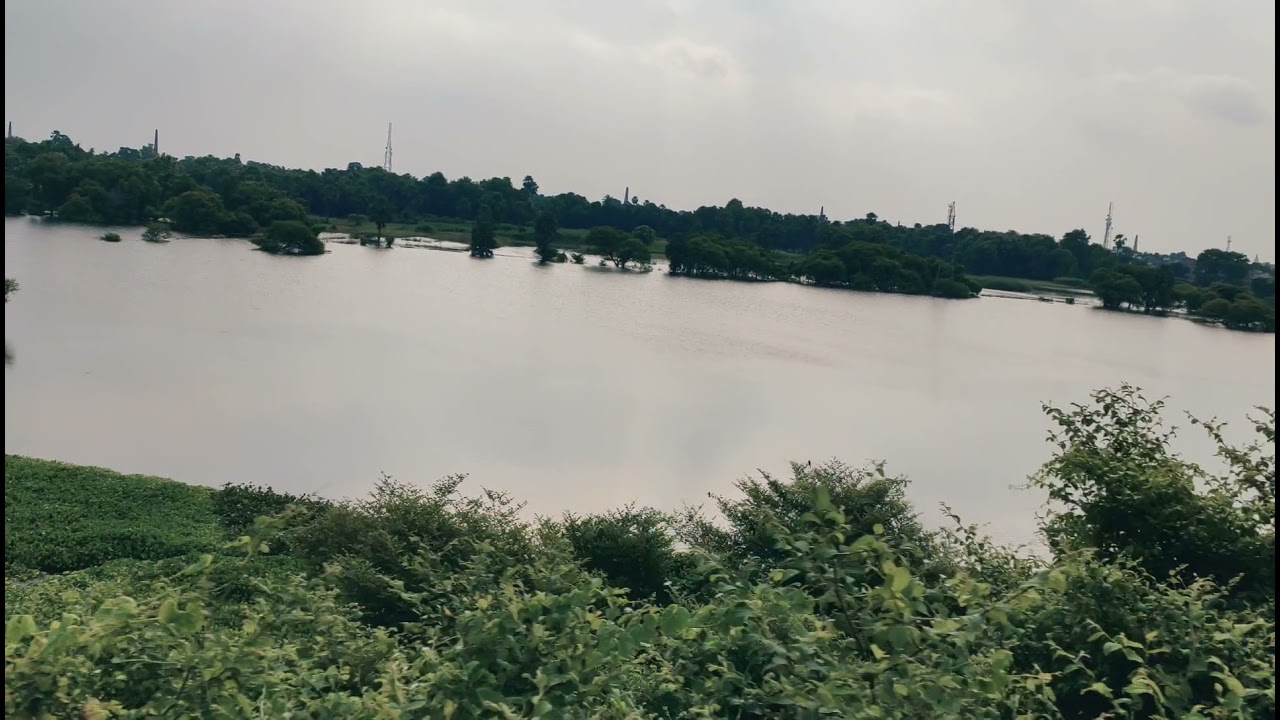 Bihar hathidah