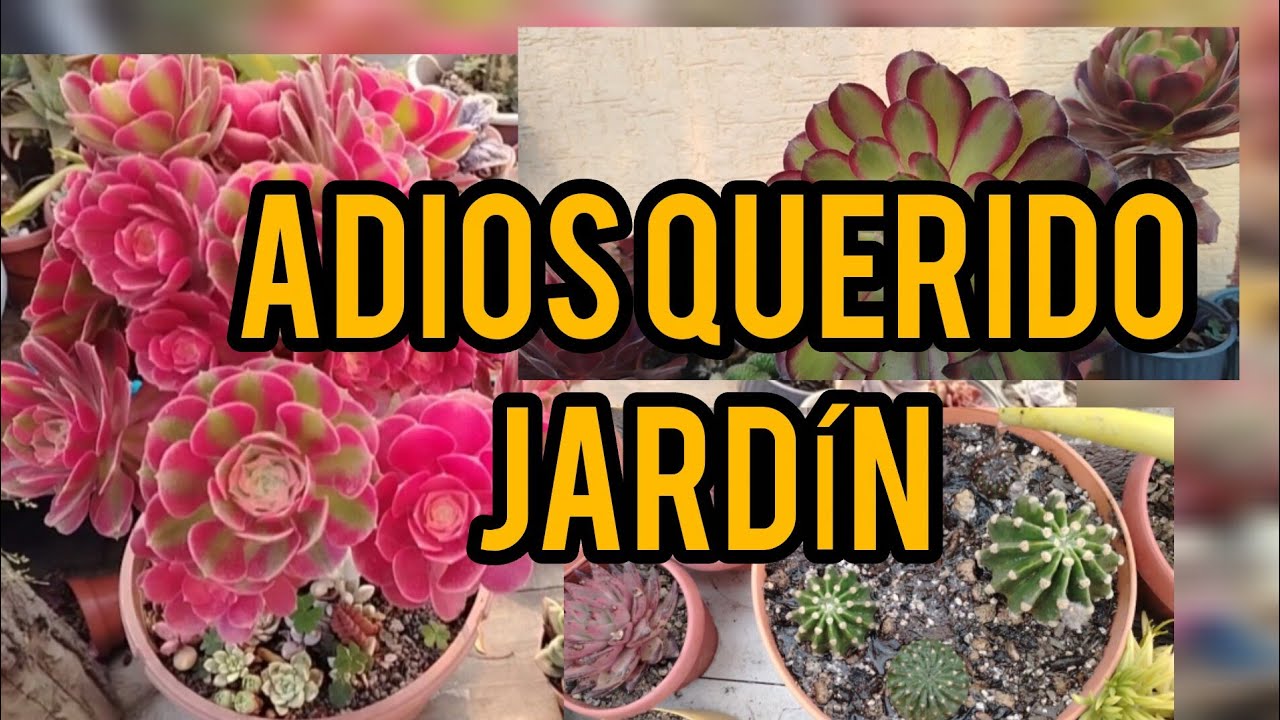 AMIGOS llego el FIN de mi JARDÍN Y ESPERO seguír contando con su apoyo 