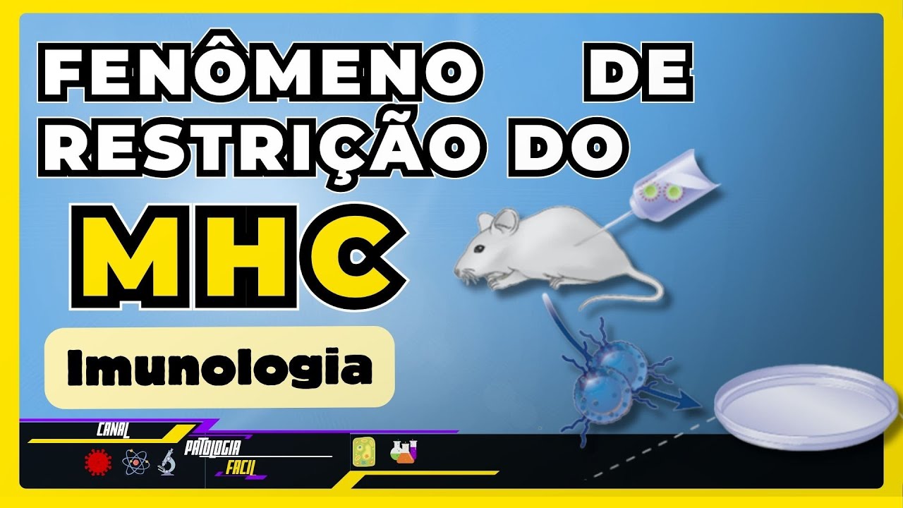 Fenômeno de Restrição do MHC: Restrição do MHC Classe I e Classe II – Aula Completa  | IMUNOLOGIA |