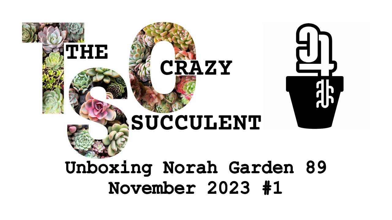 Unboxing Norah Garden 89 Succulent Sales Nov 2023 #1 - TCS016
