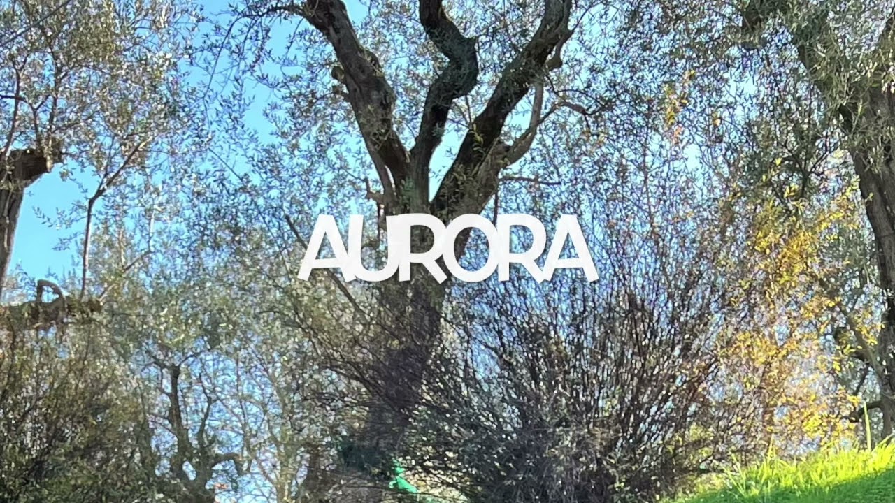Aurora DJ Atom 4