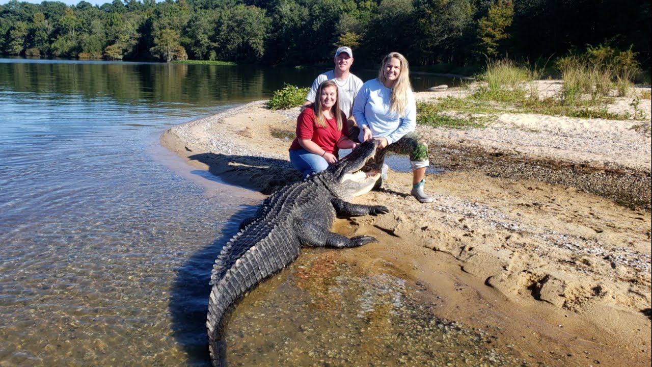 South Carolina Alligator Hunting  Santee, S.C. 2021