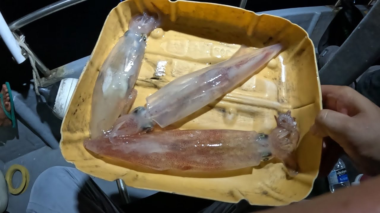 Gara gara umpan ini satu kapal di buat heboh semua strike
