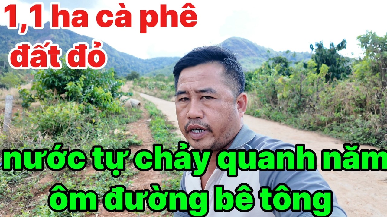 7, vườn cà phê ,ôm đường bê tông, nước tự chảy không mất tiền điện,gần khu dân cư đông đúc
