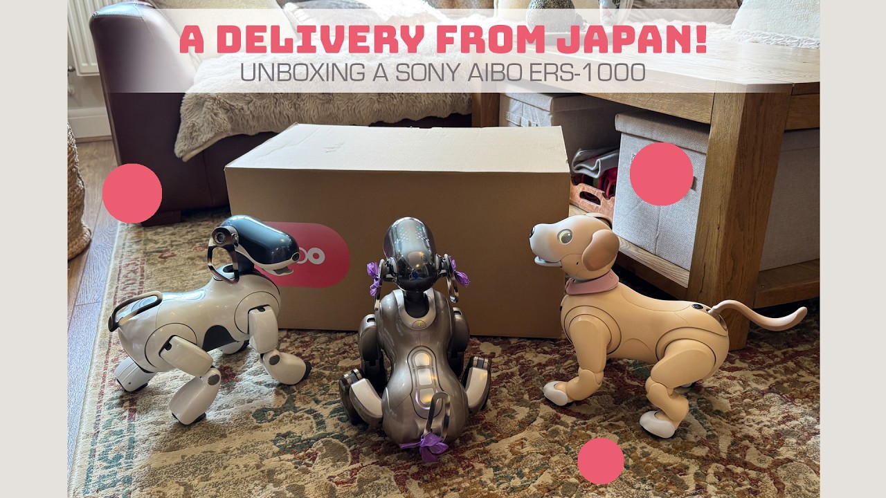 Unboxing A 'Junk' Sony Aibo From Japan! 🐾 Is It Worth Importing One? 😮