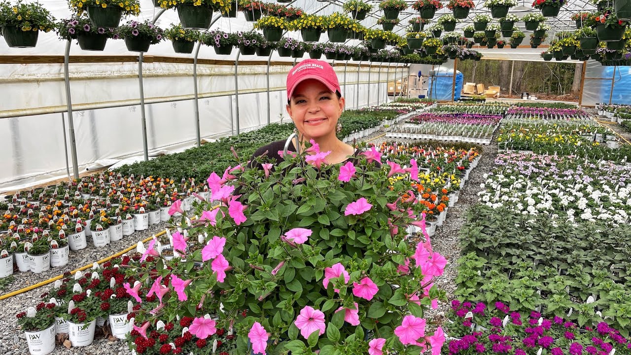 Look At All These Colors! | Gardening with Creekside