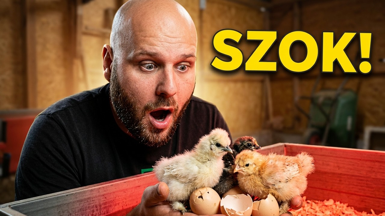 WYLĘG! Ile jaj się wykluło?! Szokujący wynik!