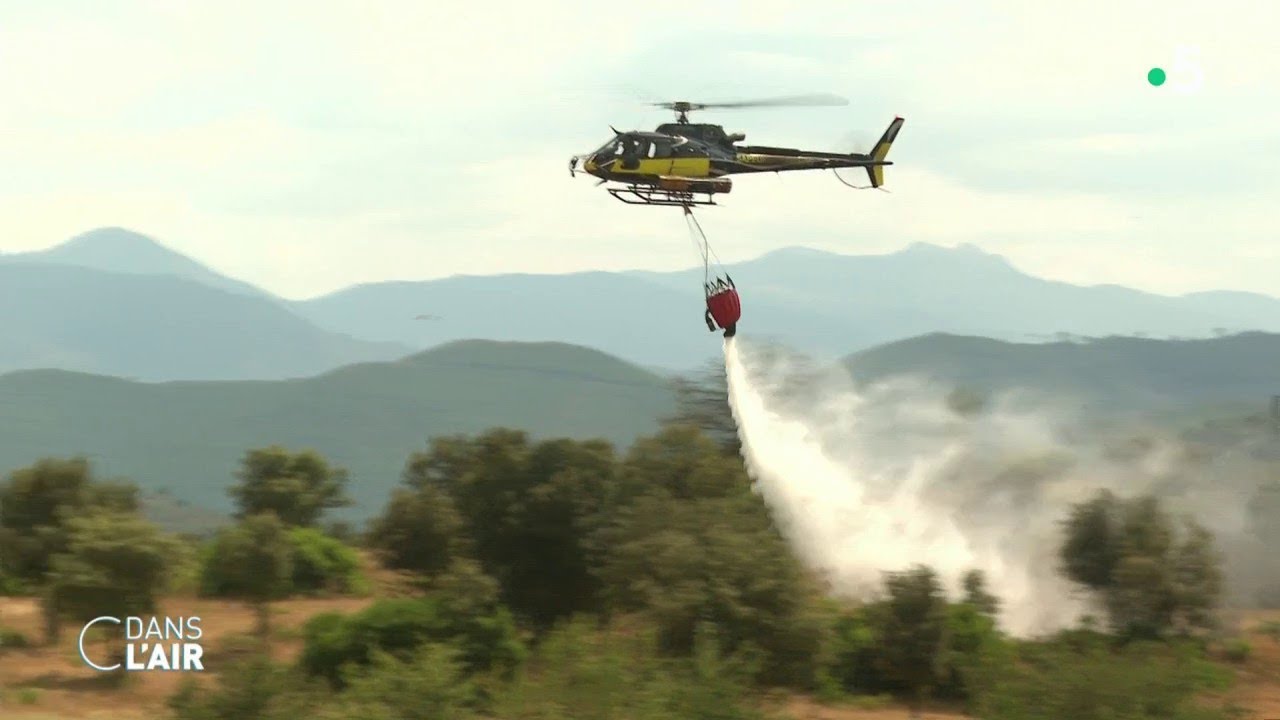 Incendies : l'inquiétude des pompiers corses  - reportage #cdanslair 25.07.2022