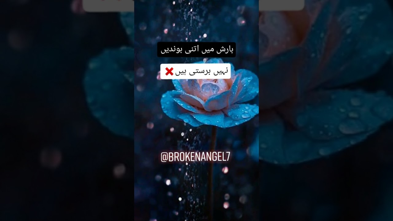 #islamic #bayanat #islami #shorts #baynat
