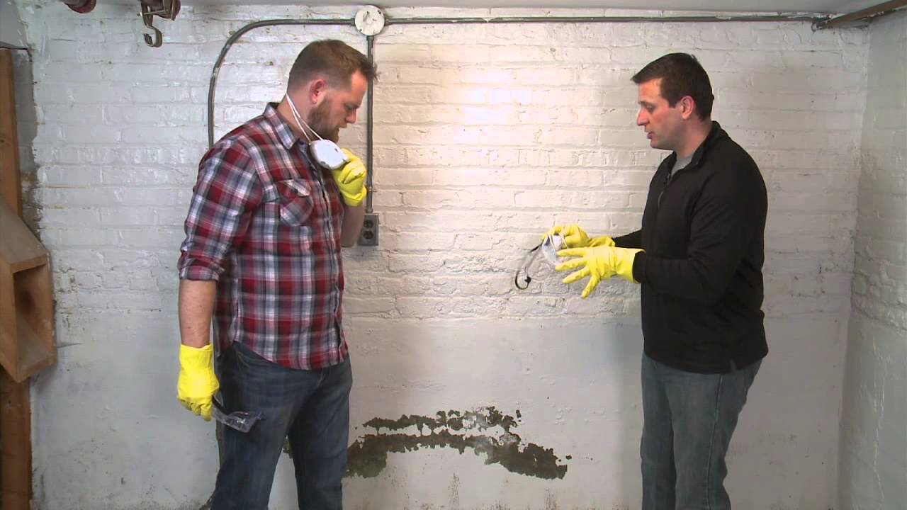 How to Clean up Mold