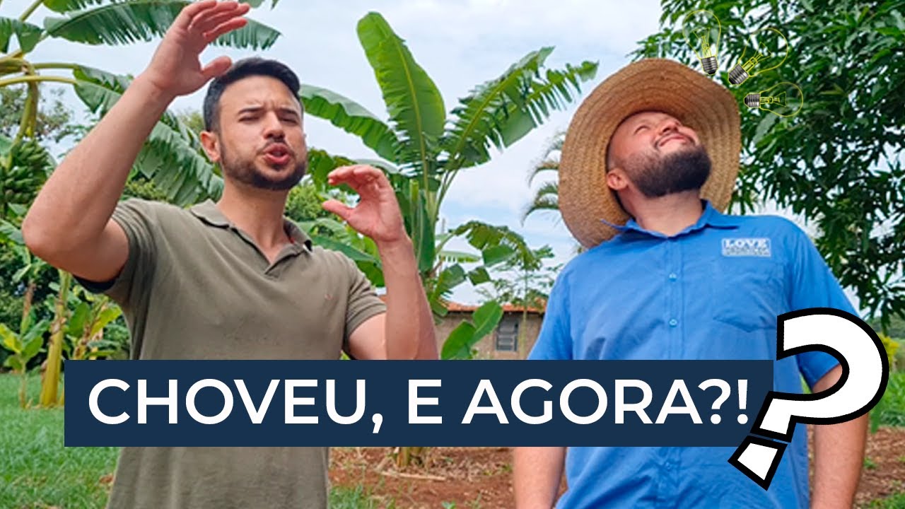 Choveu e agora? - Como produzir hortaliças no período chuvoso? Confira na prática