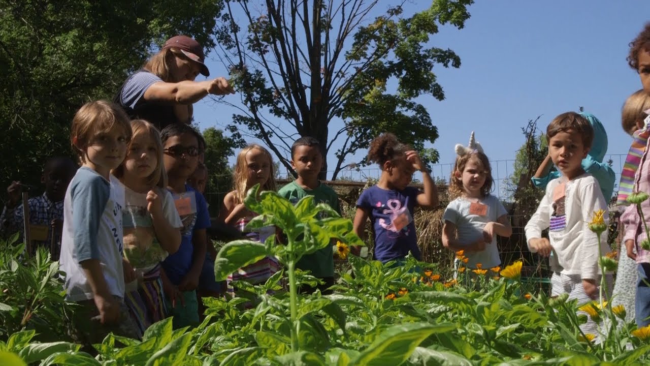 Champlain Elementary's Fresh Garden [548]