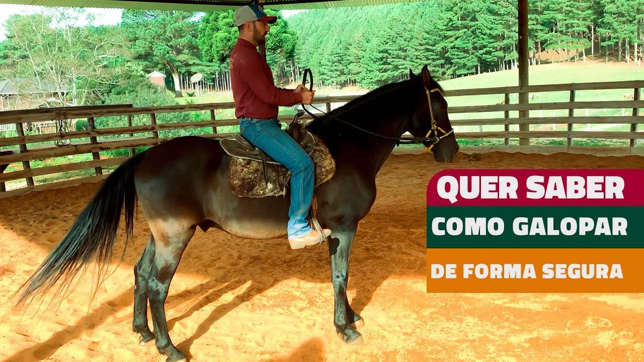SAIBA COMO GALOPAR DE FORMA SEGURA | DICA IMPERDÍVEL!!!