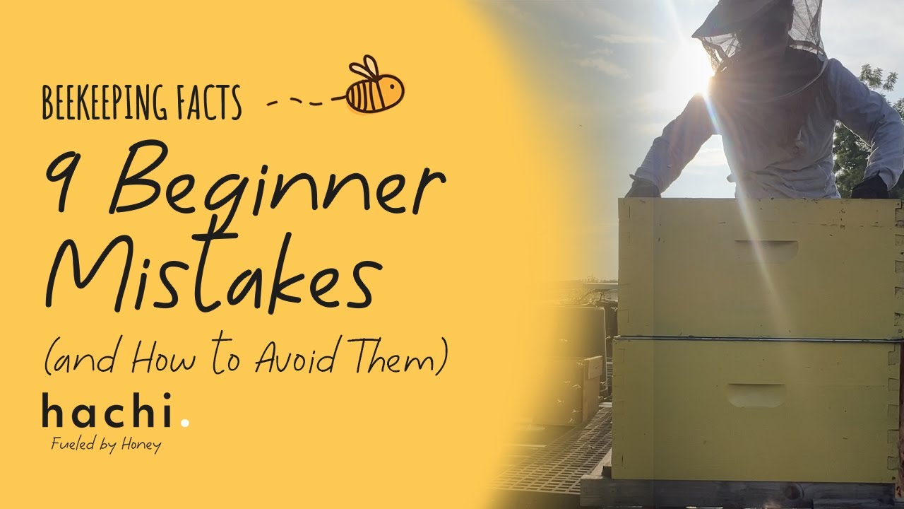 Beekeeping in the Philippines - 9 Beginner Mistakes and How to Avoid Them