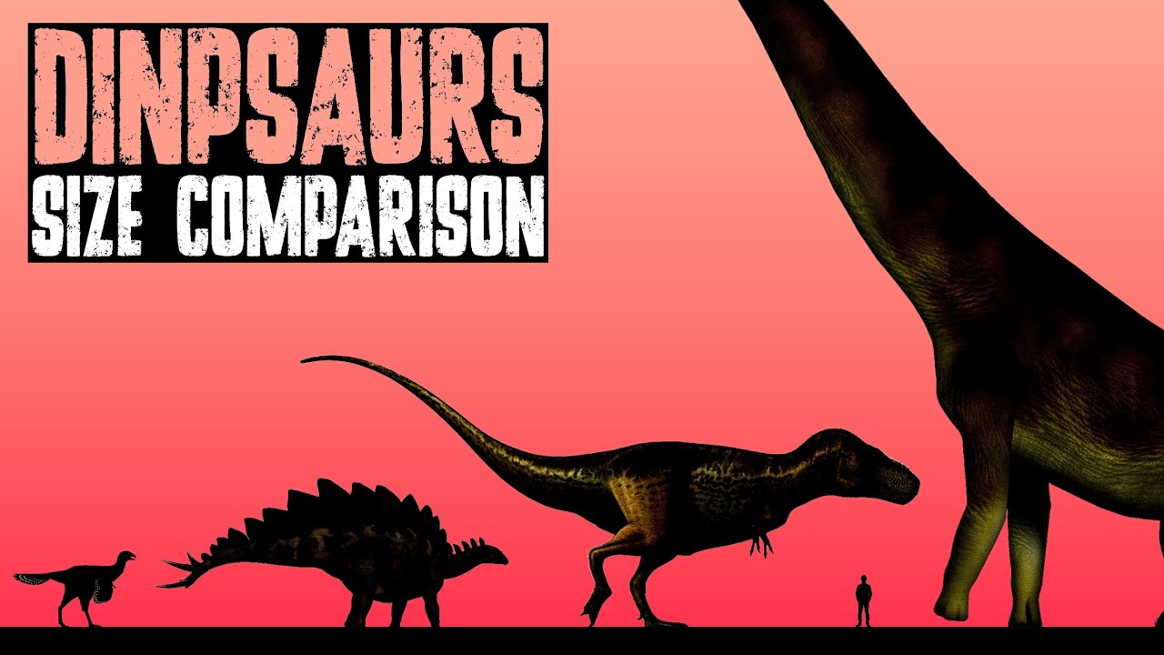 Dinosaur Size Comparison | From Smallest to Largest