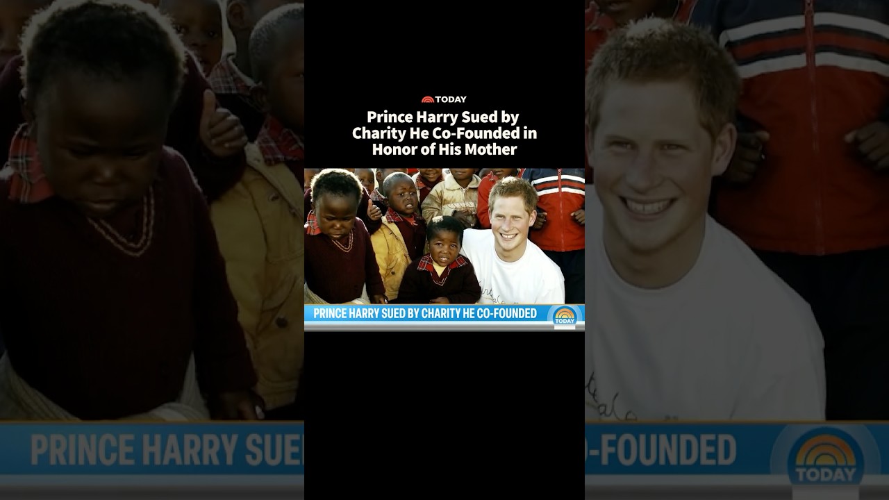 Prince Harry Sued by Charity He Co-Founded in Honor of His Mother