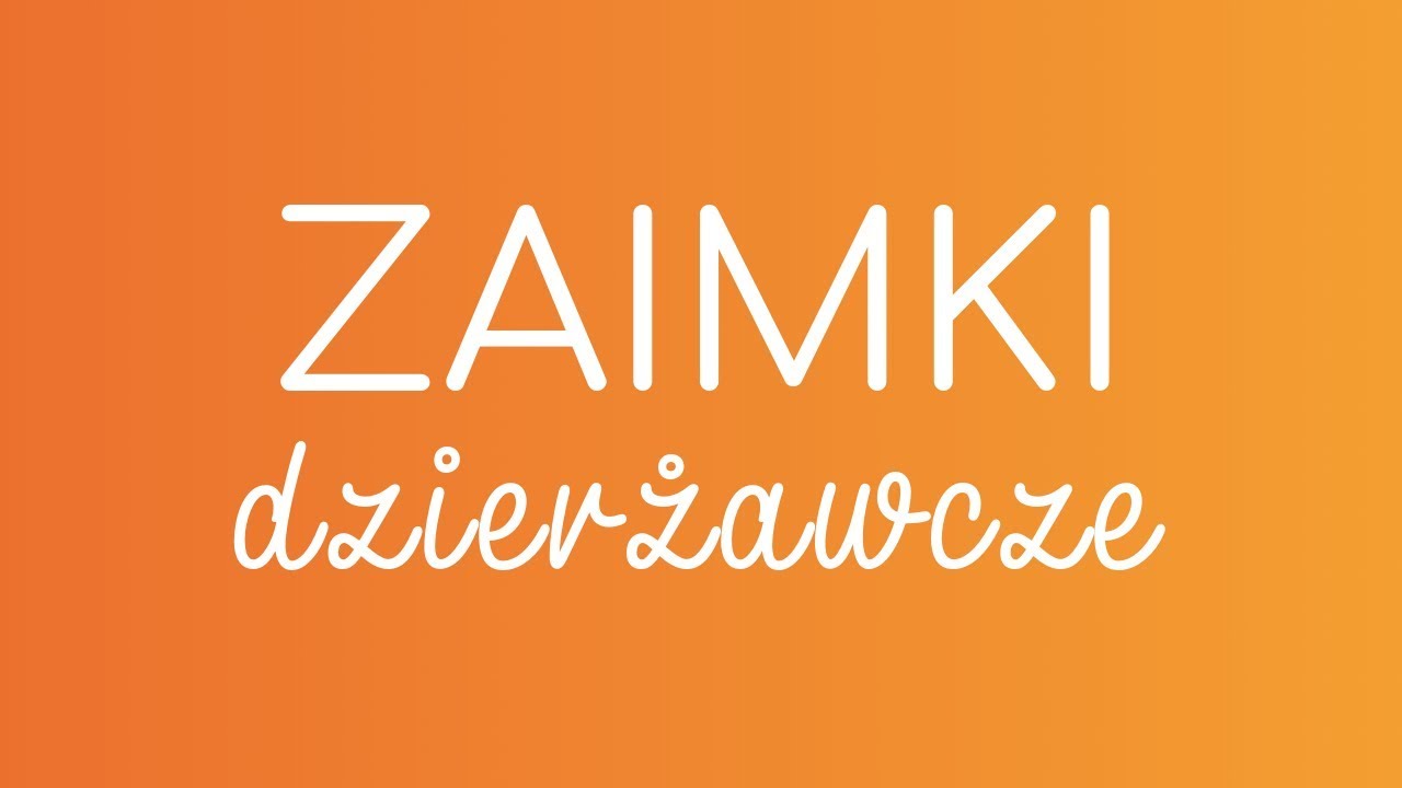 #4 ZAIMKI DZIERŻAWCZE | hiszpańska gramatyka