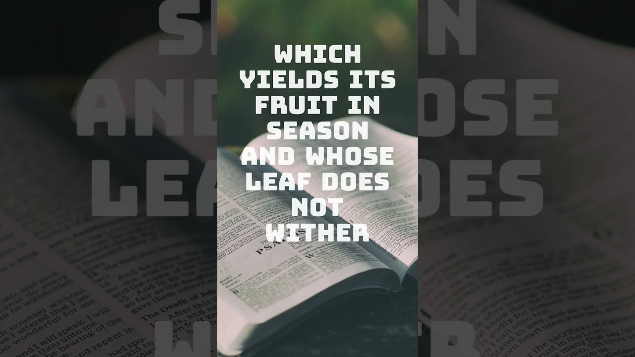 The Open Book of Psalms
